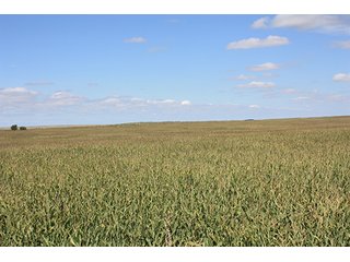 Property photo 79 - LAND AUCTION, 3255+/- Acres offered in 13 Tracts